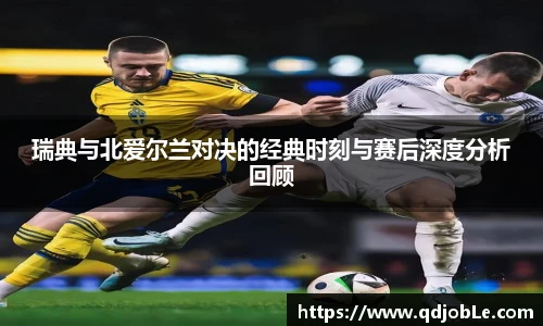 yy易游瑞典与北爱尔兰对决的经典时刻与赛后深度分析回顾